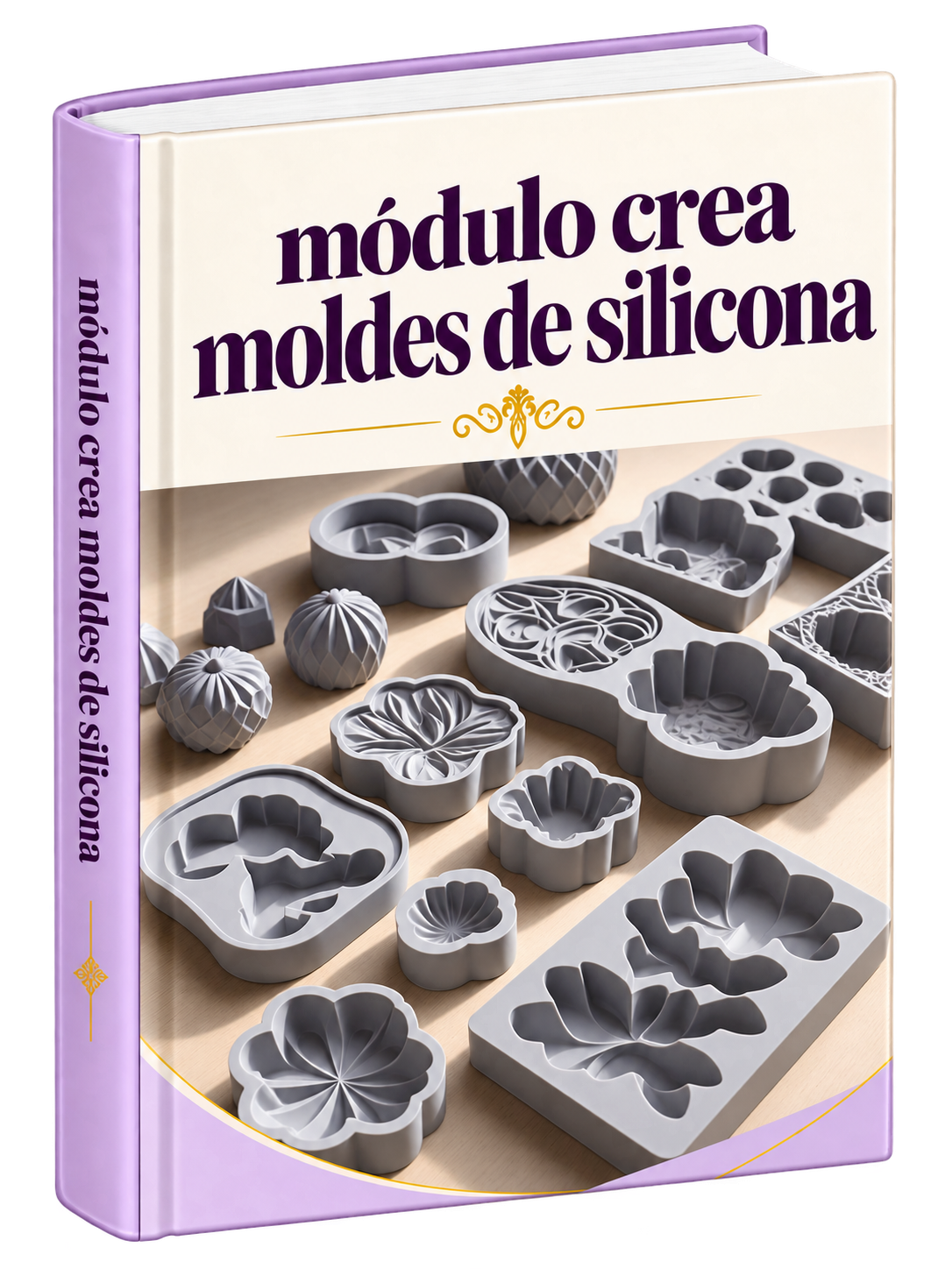 MÓDULO CREA MOLDES DE SILICONA.