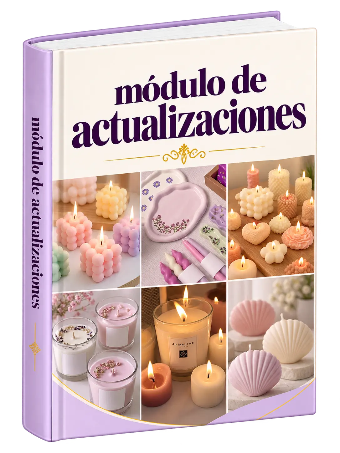 MODULO (NUEVO) ACTUALIZACIONES